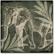 Trademark Fine Art "Elephant 1" Canvas Art by Color Bakery