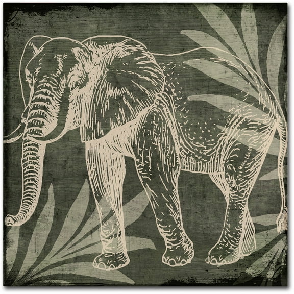 Trademark Fine Art "Elephant 1" Canvas Art by Color Bakery