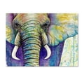 thumbnail image 1 of Trademark Fine Art 'Elephant Face' Canvas Art by Michelle Faber, 1 of 3