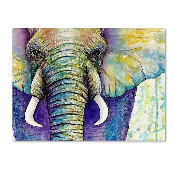 Trademark Fine Art 'Elephant Face' Canvas Art by Michelle Faber