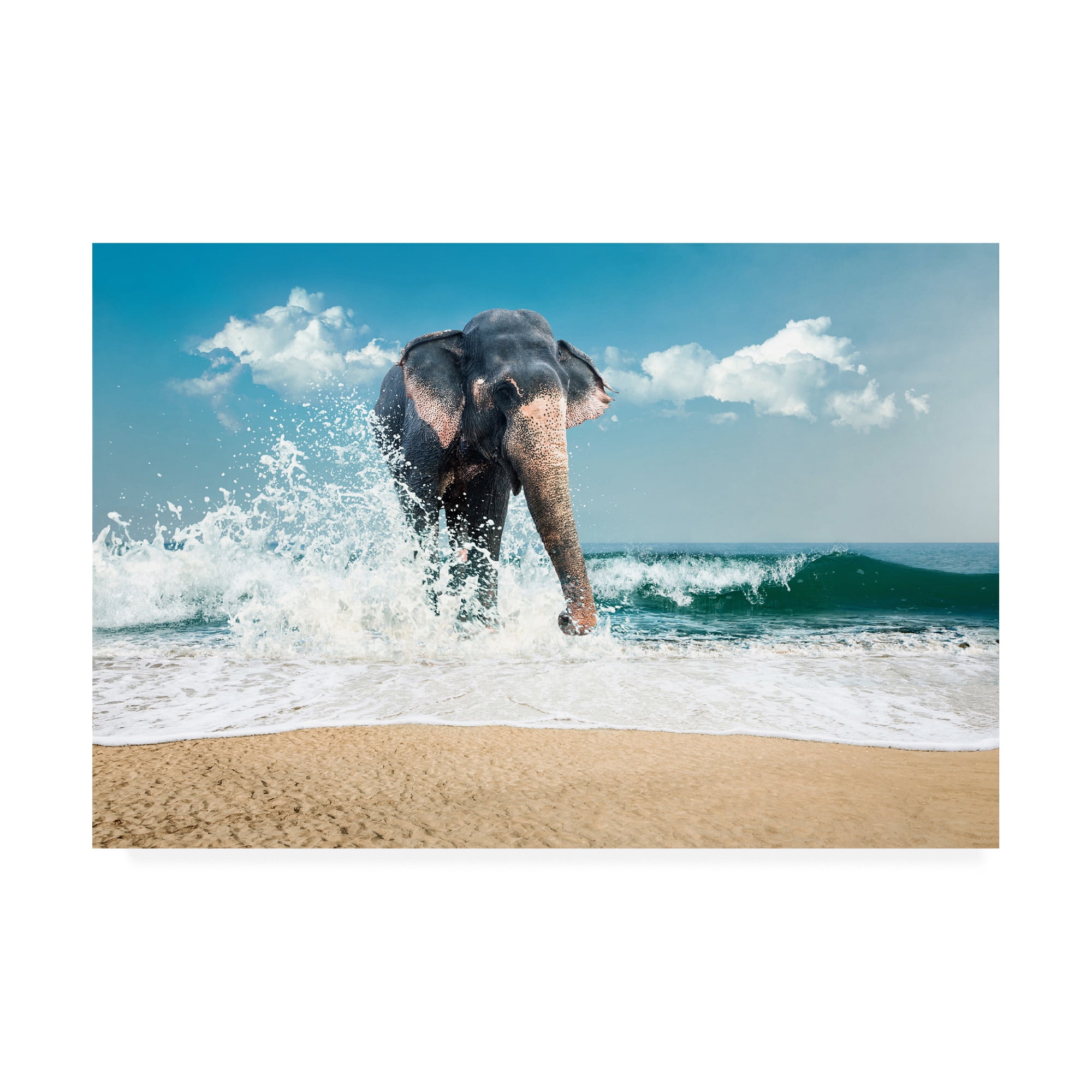 Trademark Fine Art 'Elephant On The Beach' Canvas Art by PhotoINC Studio