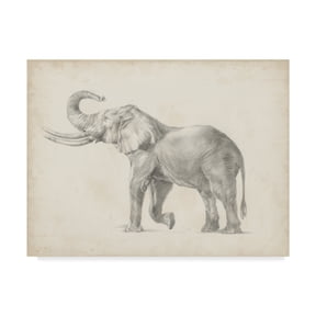 Trademark Fine Art 'Elephant Sketch I' Canvas Art by Ethan Harper