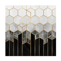 Trademark Fine Art Elisabeth Fredriksson  Charcoal Hexagons Canvas Wall Art