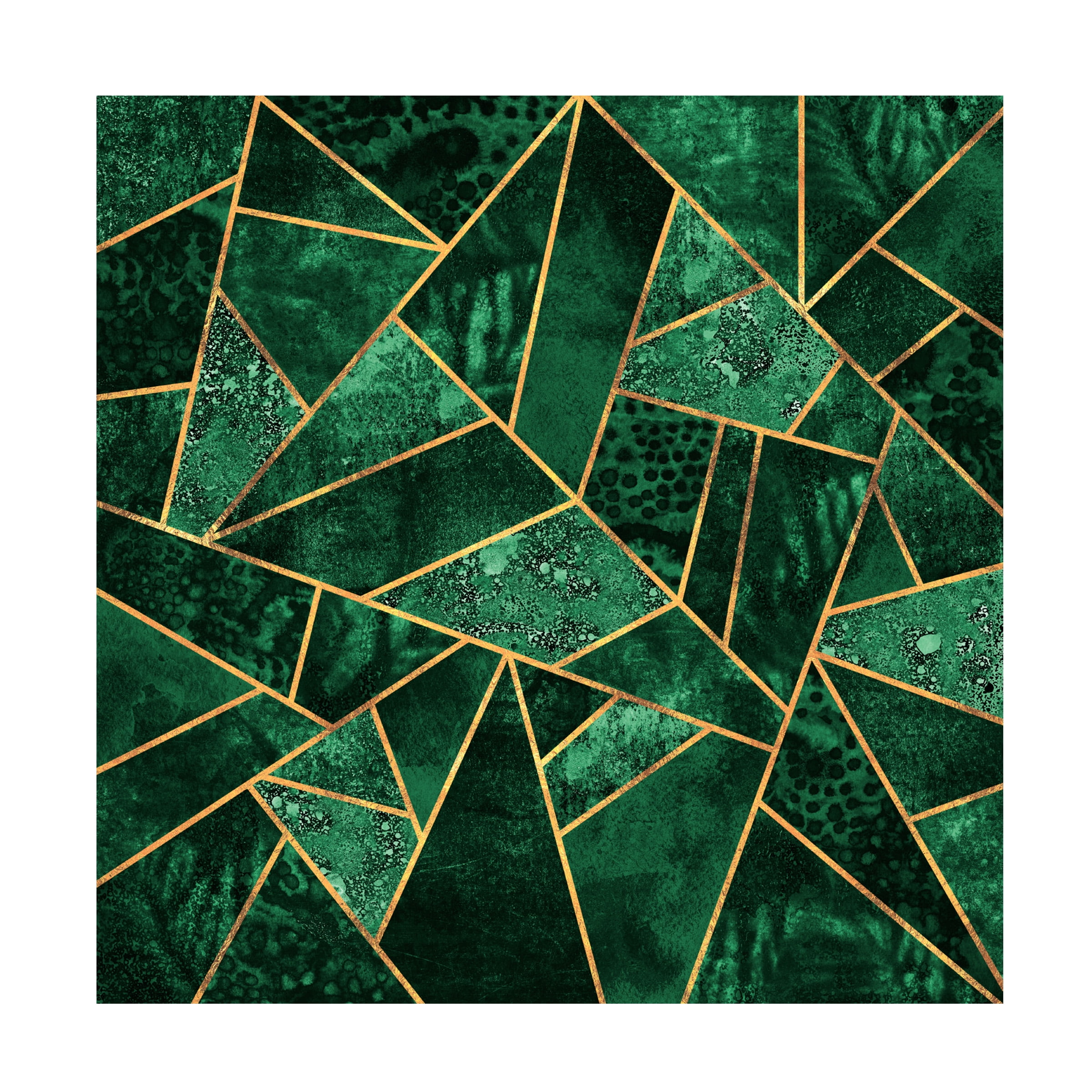 Trademark Fine Art Elisabeth Fredriksson  Deep Emerald Canvas Wall Art