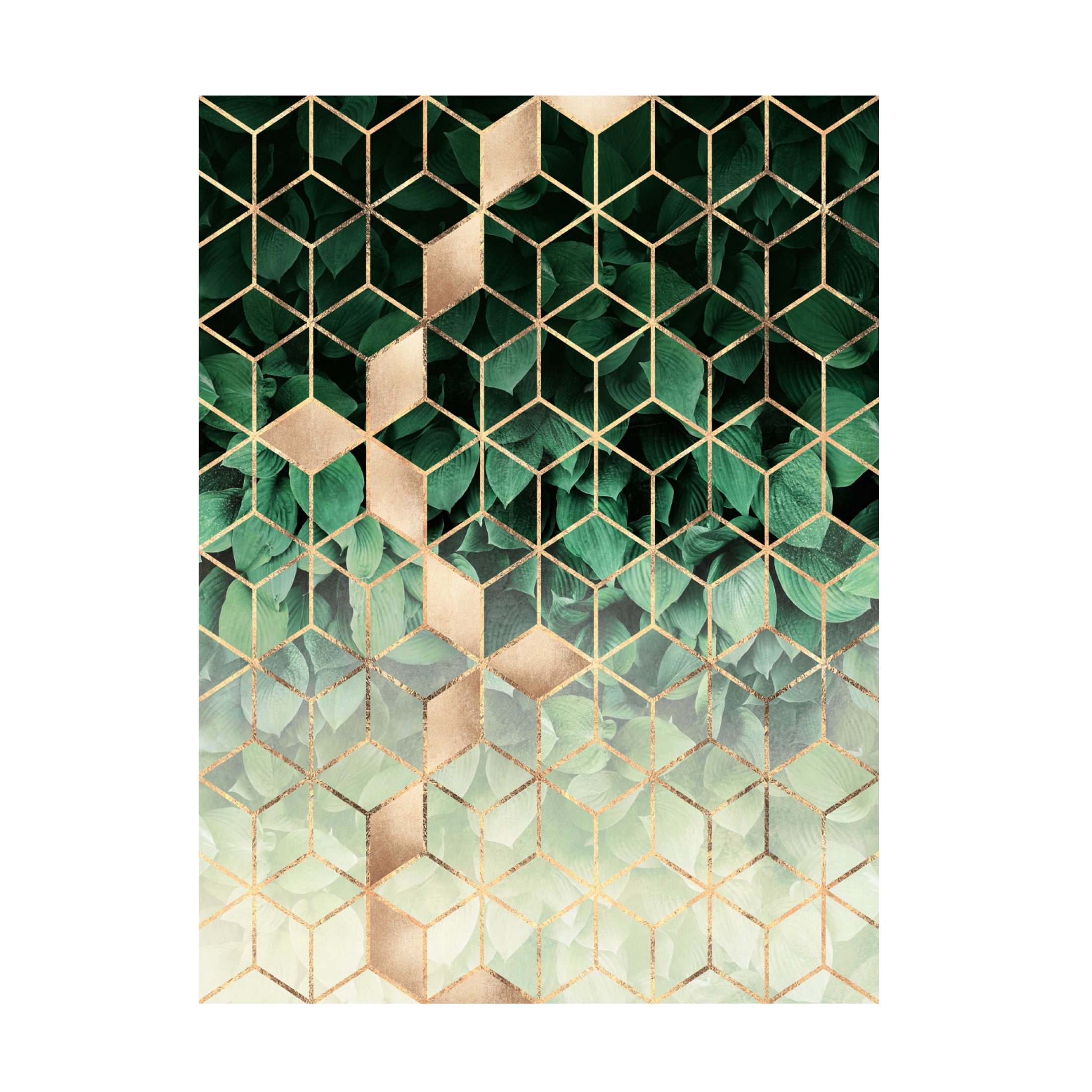 Trademark Fine Art Elisabeth Fredriksson  Leaves And Cubes Canvas Wall Art