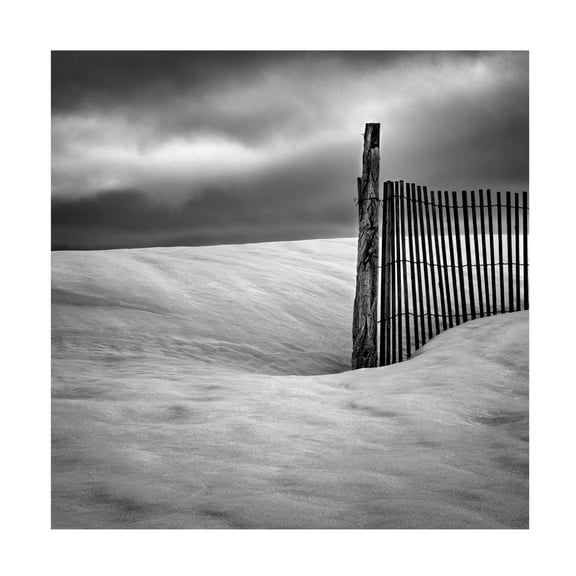 Trademark Fine Art Elisabeth van Helden Fence Canvas Wall Art