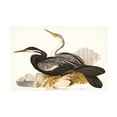 thumbnail image 1 of Trademark Fine Art Elizabeth Gould Waterbird Pairing V Canvas Wall Art, 1 of 4