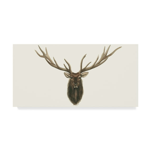 Trademark Fine Art 'Elk Bust' Canvas Art by Grace Popp