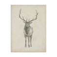 thumbnail image 1 of Trademark Fine Art 'Elk Study' Canvas Art by Ethan Harper, 1 of 4