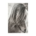 thumbnail image 1 of Trademark Fine Art 'Elska I BW' Canvas Art by Laura Marshall, 1 of 3