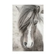 thumbnail image 1 of Trademark Fine Art 'Elska II BW' Canvas Art by Laura Marshall, 1 of 3