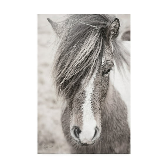Trademark Fine Art 'Elska II BW' Canvas Art by Laura Marshall
