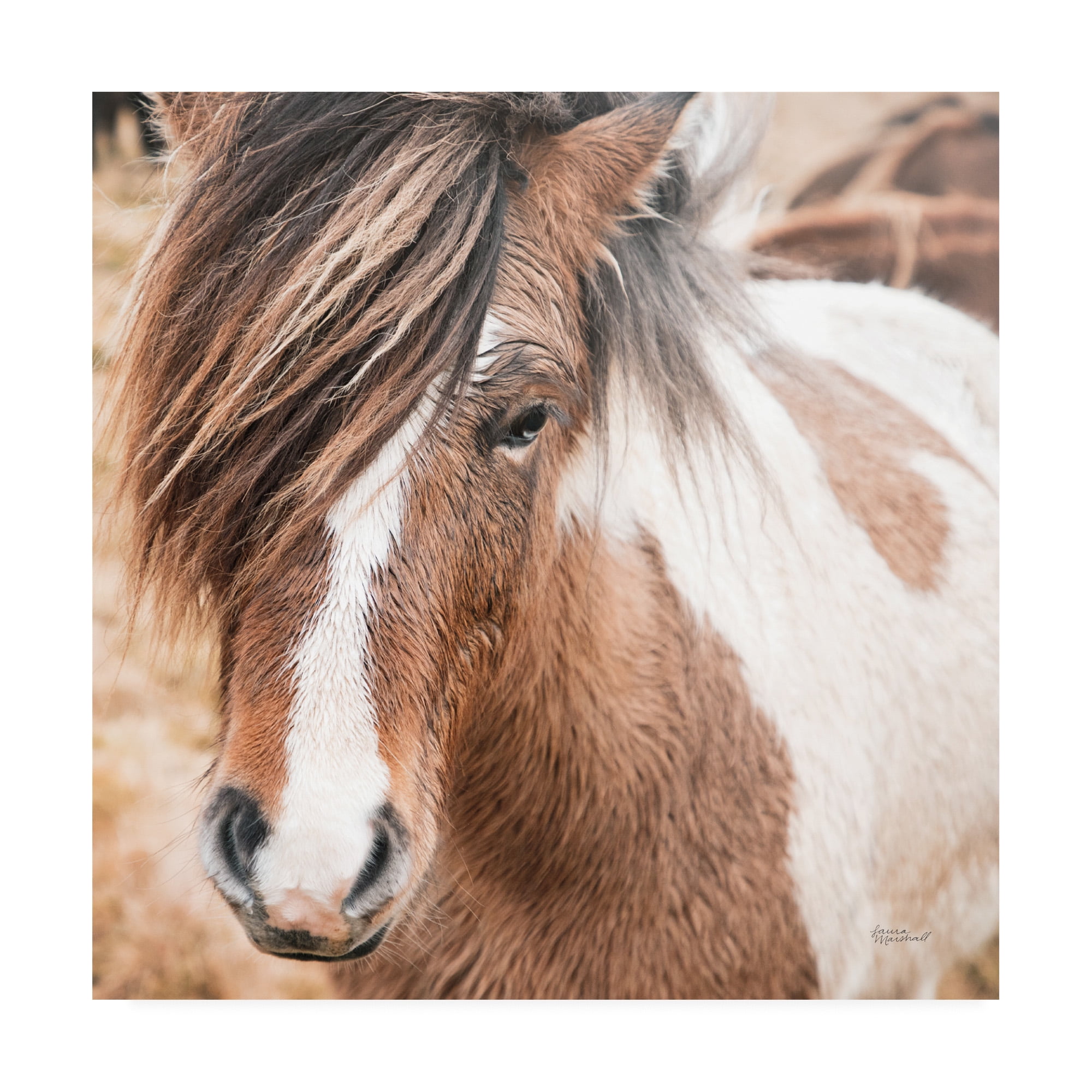 Trademark Fine Art 'Elska IV' Canvas Art by Laura Marshall