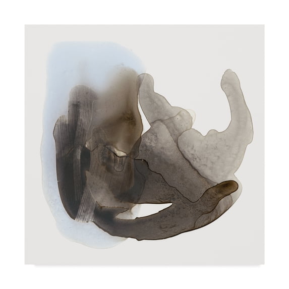 Trademark Fine Art 'Embodiment II' Canvas Art by Renee W. Stramel
