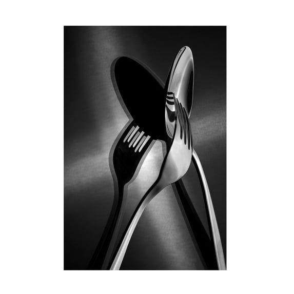 Trademark Fine Art Emel Sefer Intersection Canvas Wall Art