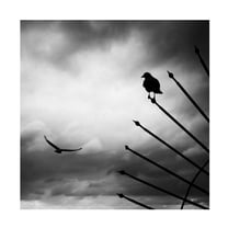 Trademark Fine Art Emel Sefer Welcome Canvas Wall Art