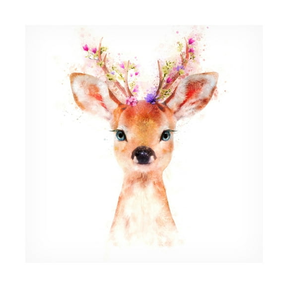 Trademark Fine Art Emel Tunaboylu  Baby Deer Canvas Wall Art