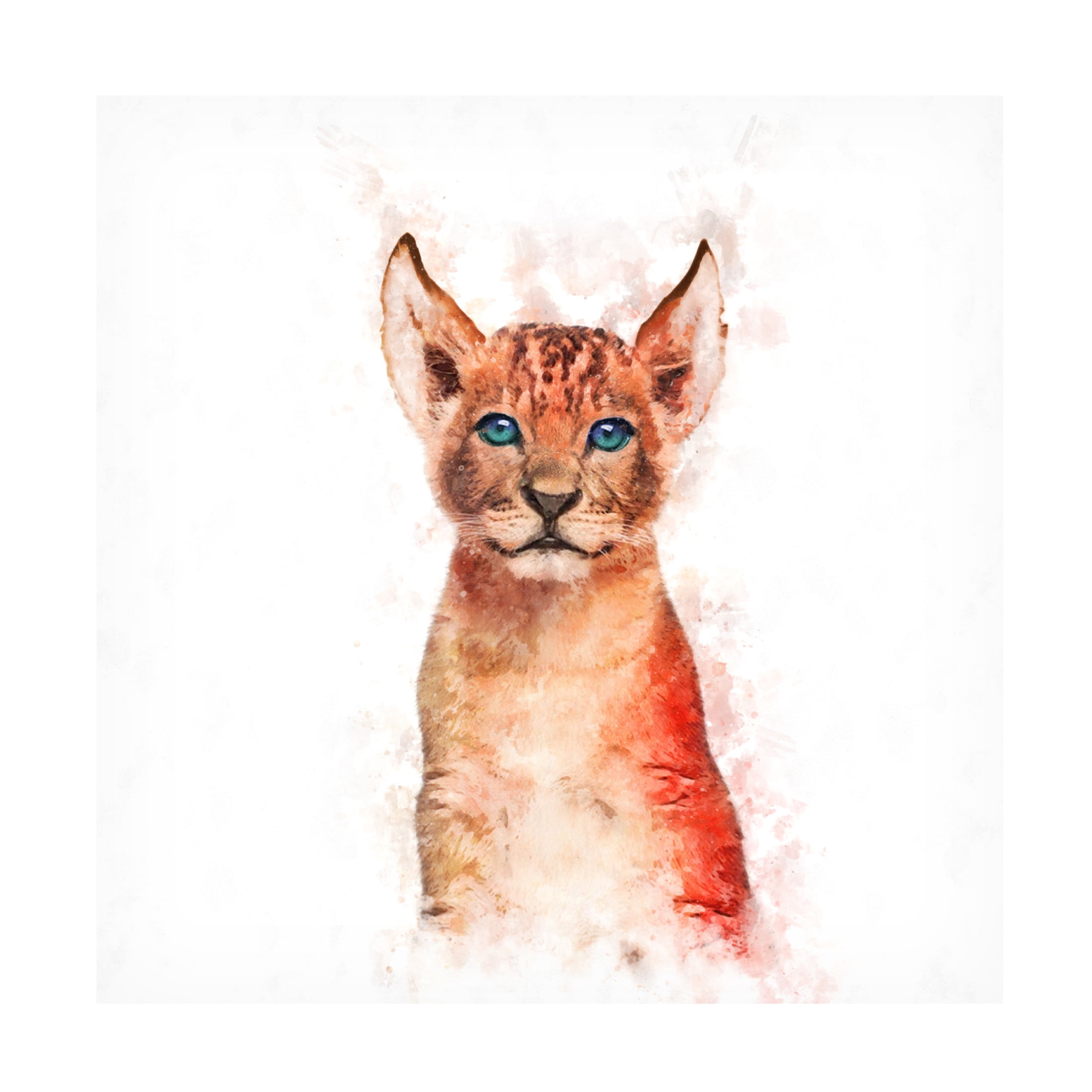 Trademark Fine Art Emel Tunaboylu Baby Lion Canvas Wall Art