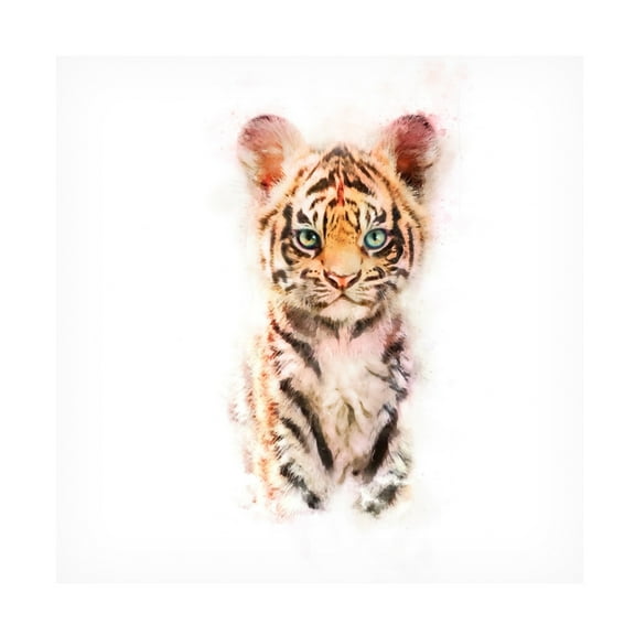 Trademark Fine Art Emel Tunaboylu  Baby Tiger Canvas Wall Art