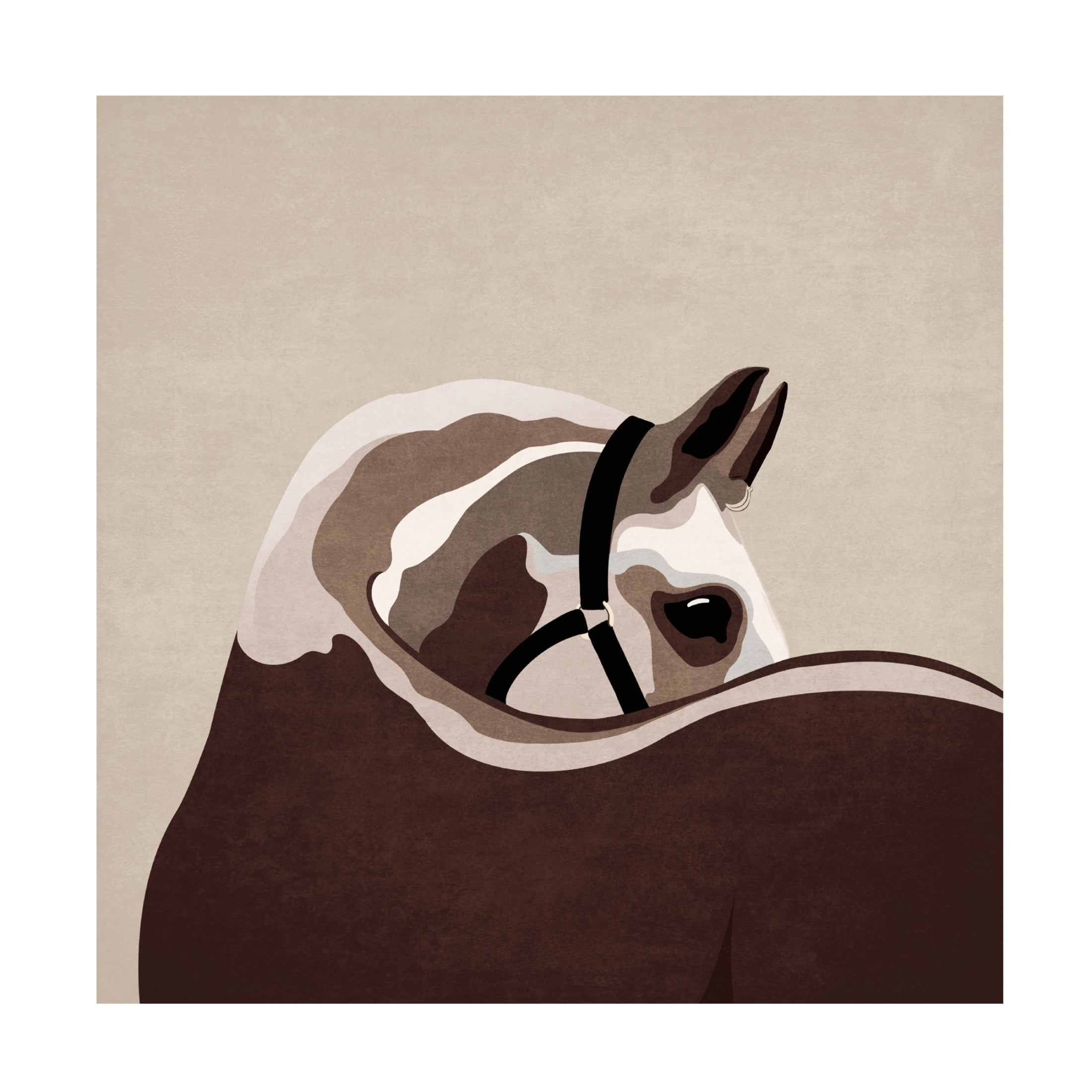 Trademark Fine Art Emel Tunaboylu Boho Western Horse Canvas Wall Art