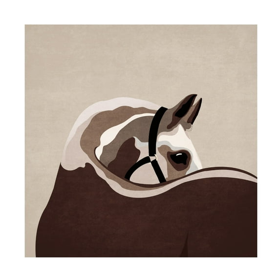 Trademark Fine Art Emel Tunaboylu Boho Western Horse Canvas Wall Art