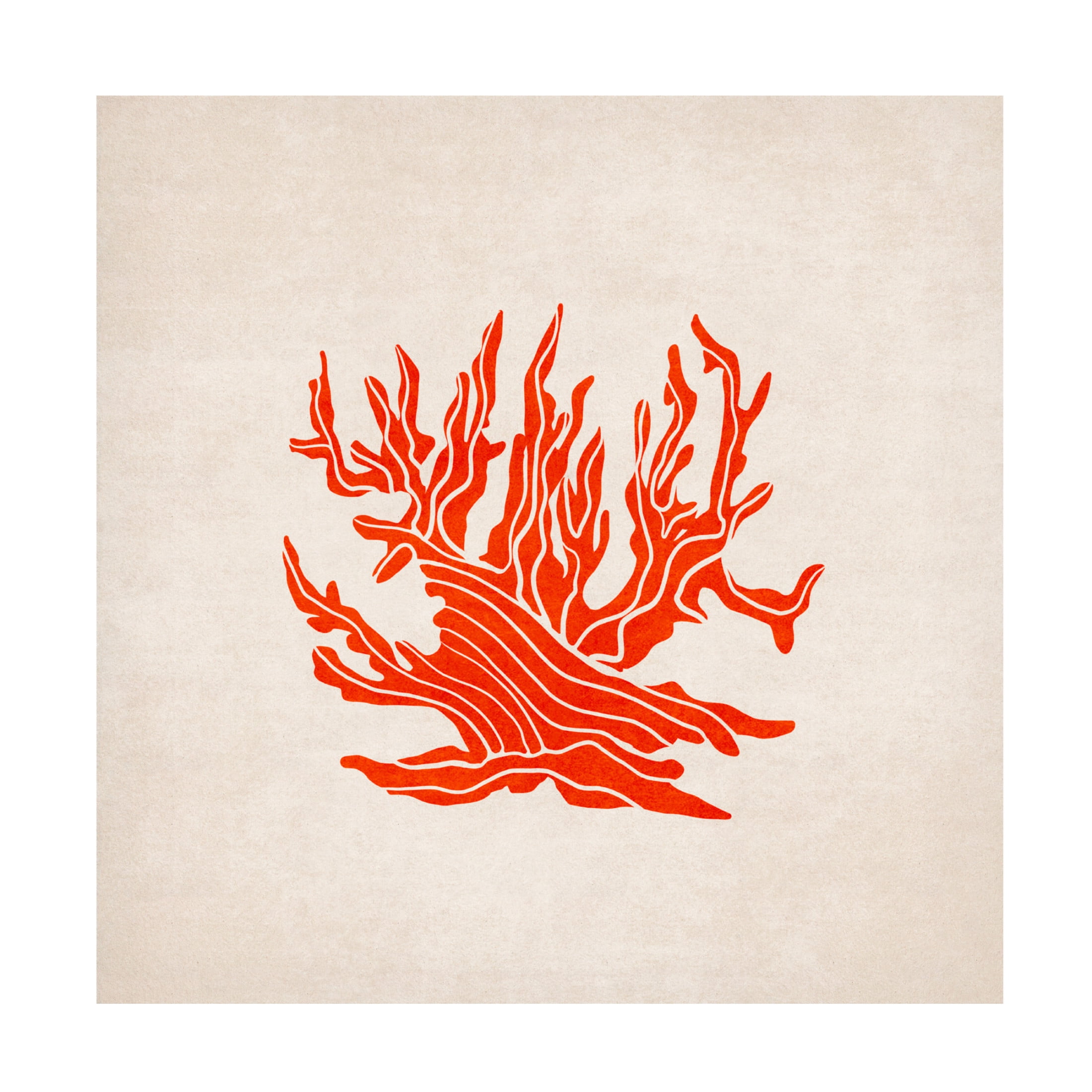 Trademark Fine Art Emel Tunaboylu Coral Canvas Wall Art