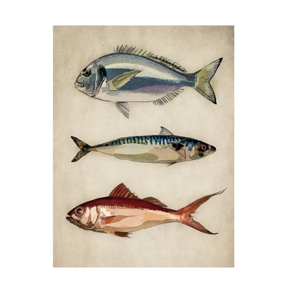 Trademark Fine Art Emel Tunaboylu  Deniz Baliklari Canvas Wall Art