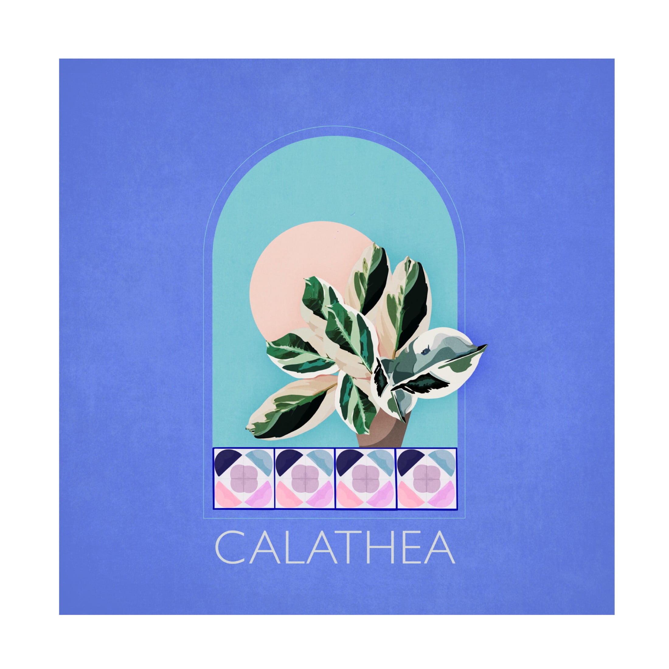 Trademark Fine Art Emel Tunaboylu  Green Sets Calathea Canvas Wall Art