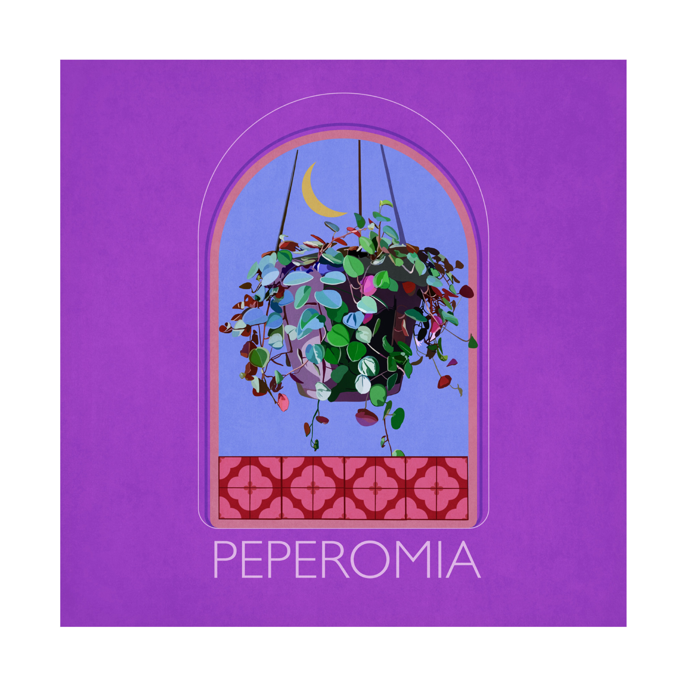 Trademark Fine Art Emel Tunaboylu Green Sets Peperomia Canvas Wall Art