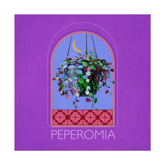 Trademark Fine Art Emel Tunaboylu Green Sets Peperomia Canvas Wall Art