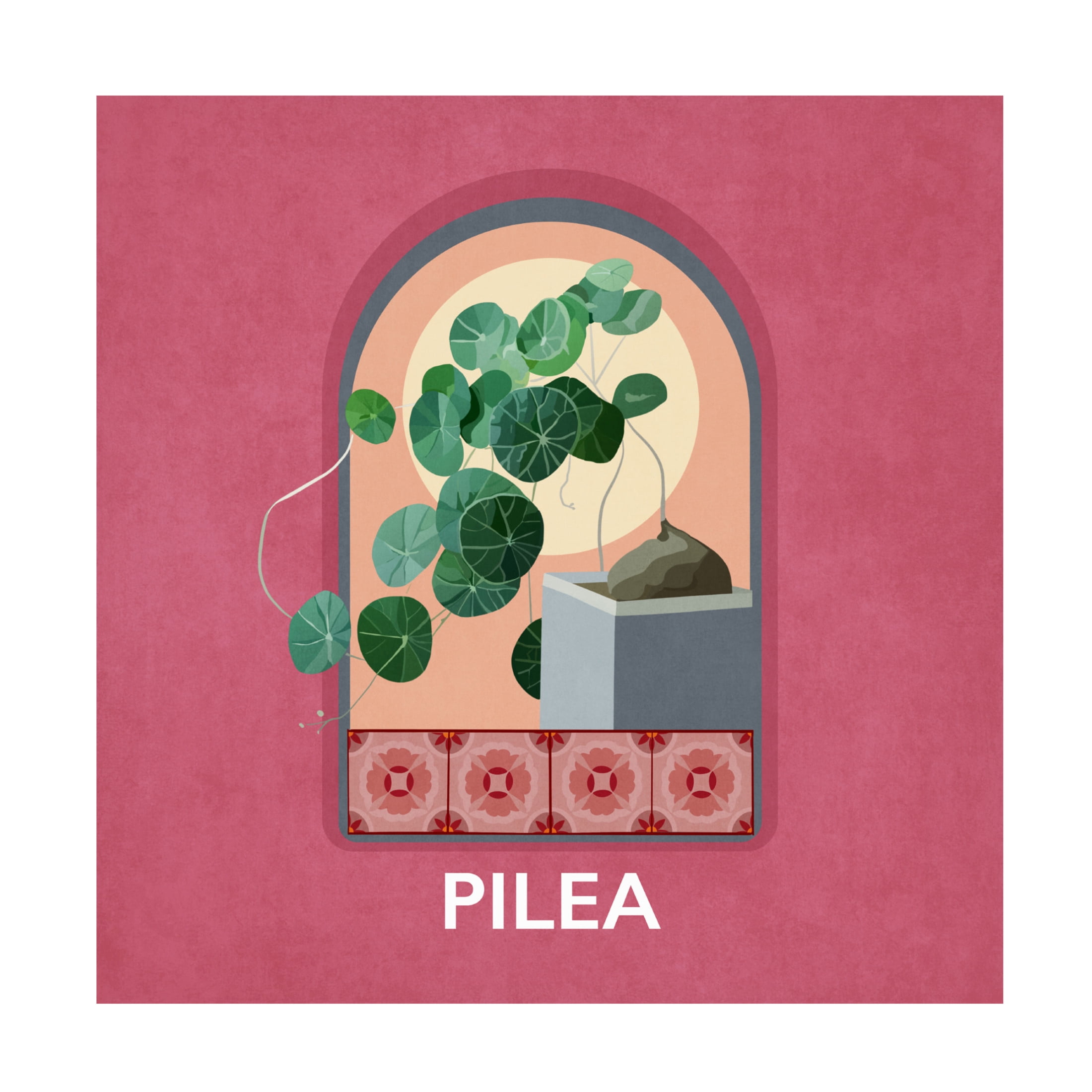 Trademark Fine Art Emel Tunaboylu Green Sets Pilea Canvas Wall Art