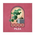 thumbnail image 1 of Trademark Fine Art Emel Tunaboylu Green Sets Pilea Canvas Wall Art, 1 of 4