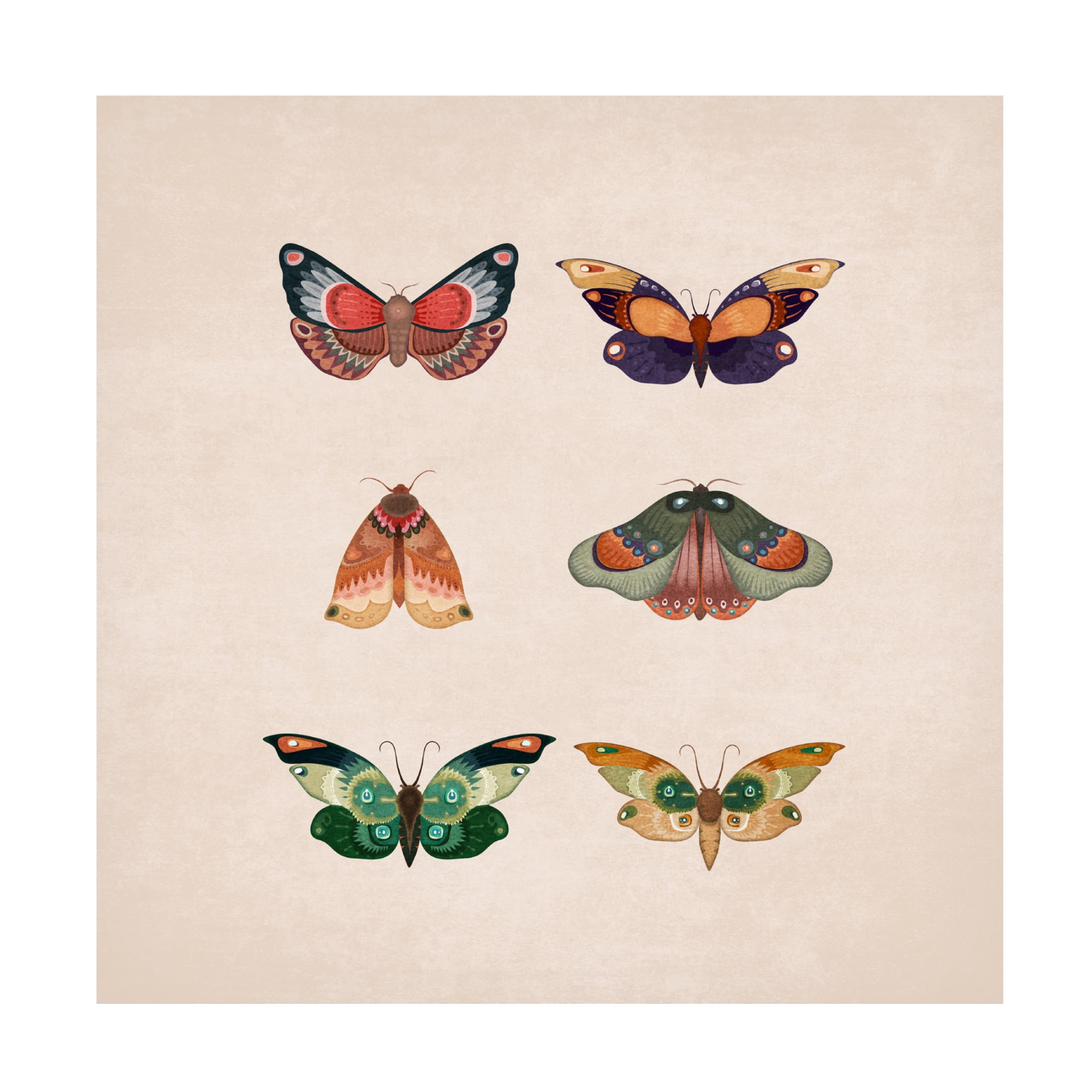 Trademark Fine Art Emel Tunaboylu  Kelebekler Canvas Wall Art