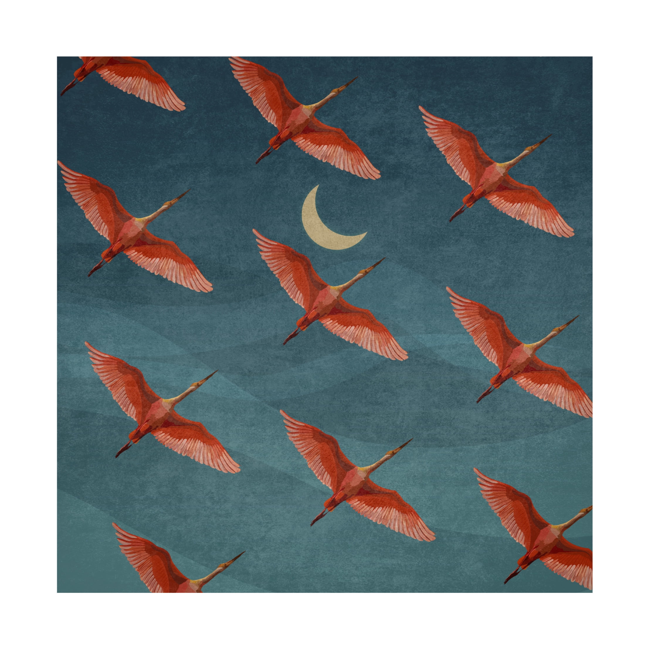 Trademark Fine Art Emel Tunaboylu  Leylek Surusu Canvas Wall Art