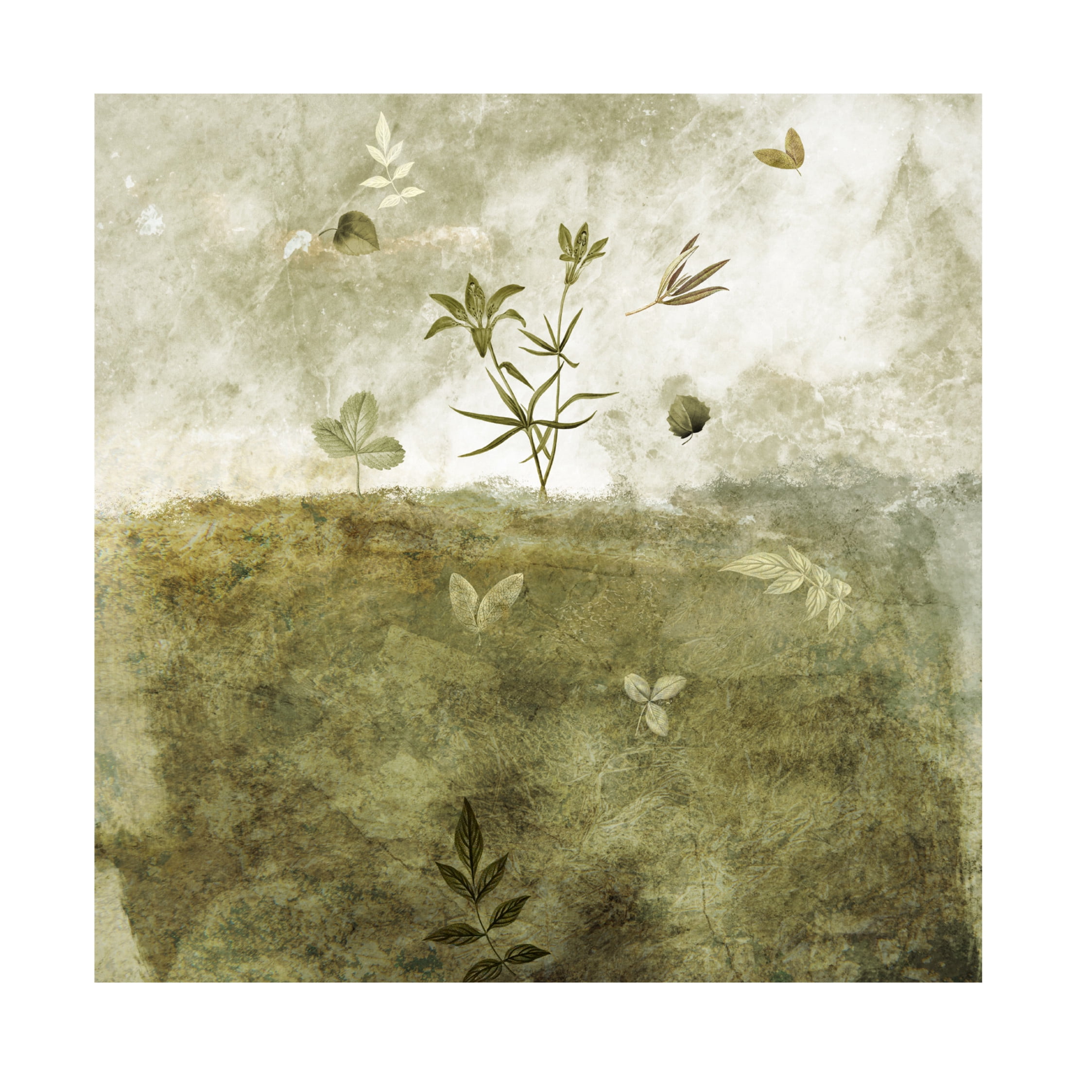 Trademark Fine Art Emel Tunaboylu  Olive Canvas Wall Art