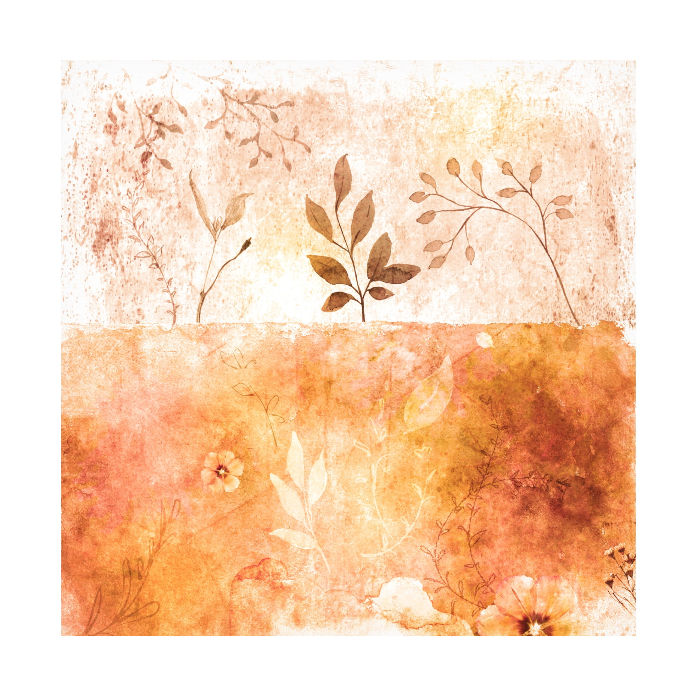 Trademark Fine Art Emel Tunaboylu  Orange Copy Canvas Wall Art