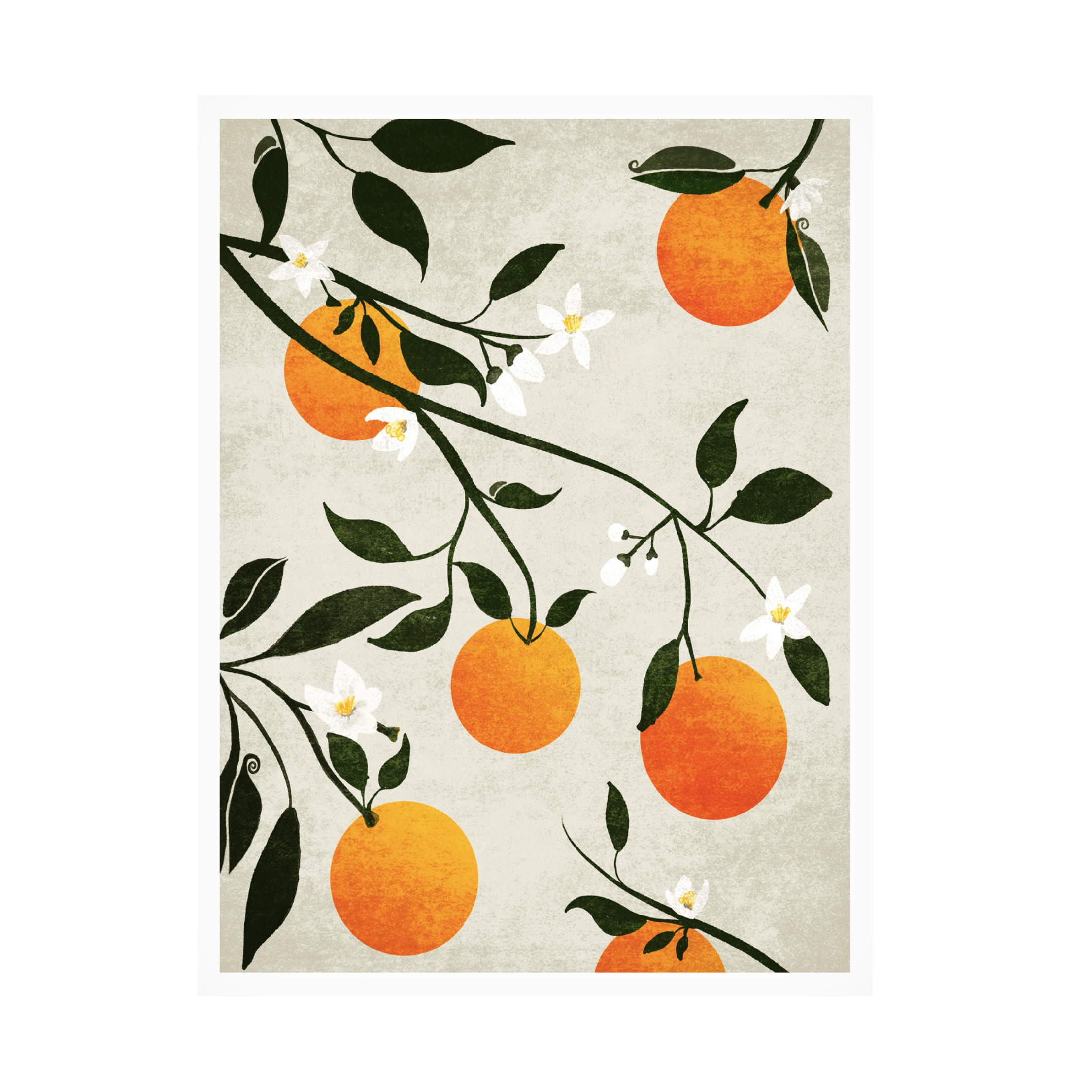 Trademark Fine Art Emel Tunaboylu  Rectangle 14 Canvas Wall Art