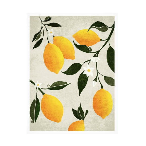 Trademark Fine Art Emel Tunaboylu Rectangle 15 Canvas Wall Art