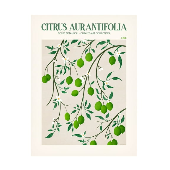 Trademark Fine Art Emel Tunaboylu  Rectangle 20 Canvas Wall Art