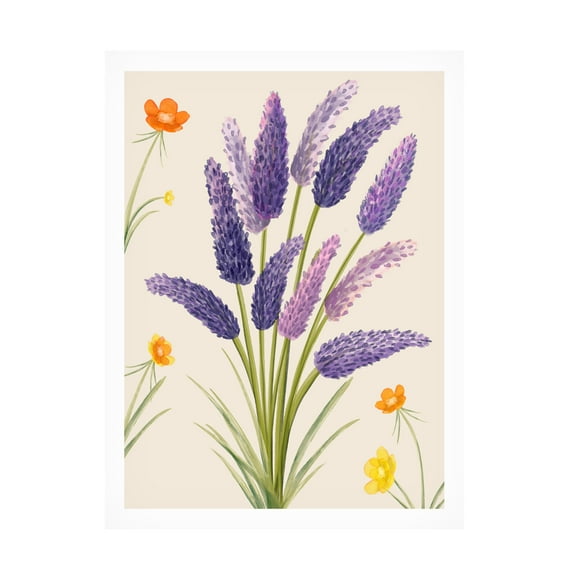 Trademark Fine Art Emel Tunaboylu Rectangle 9 Canvas Wall Art