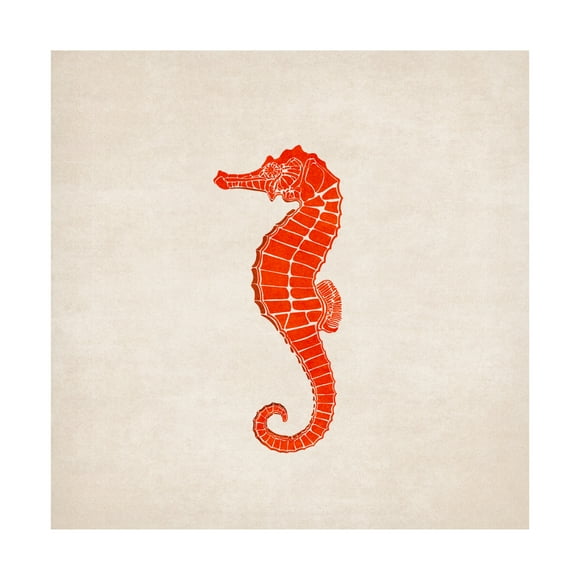Trademark Fine Art Emel Tunaboylu Sea Horse Canvas Wall Art