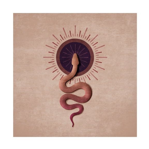 Trademark Fine Art Emel Tunaboylu Sun Snake Canvas Wall Art