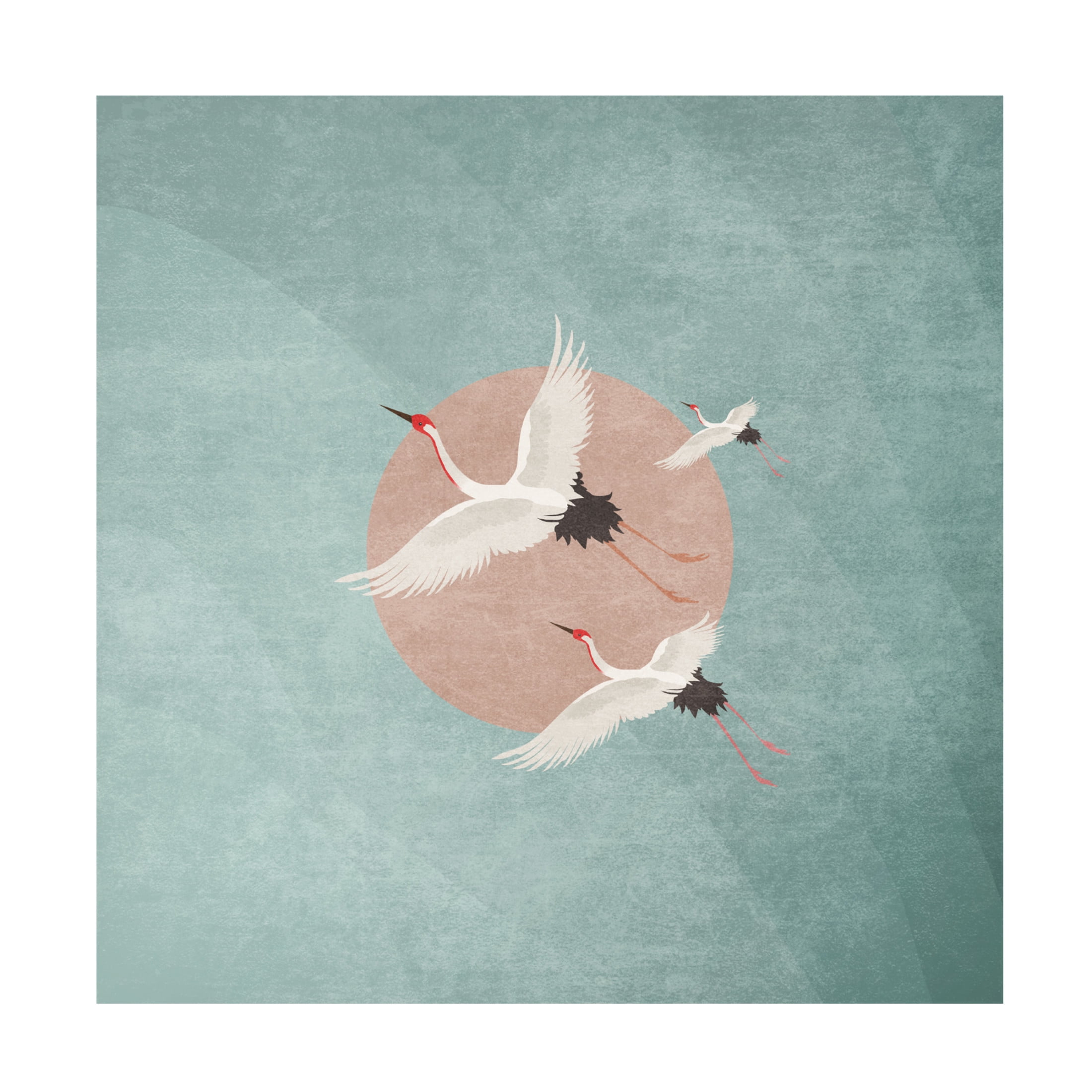 Trademark Fine Art Emel Tunaboylu Turnalar Mavimsi Pembe Gunes Canvas Wall Art