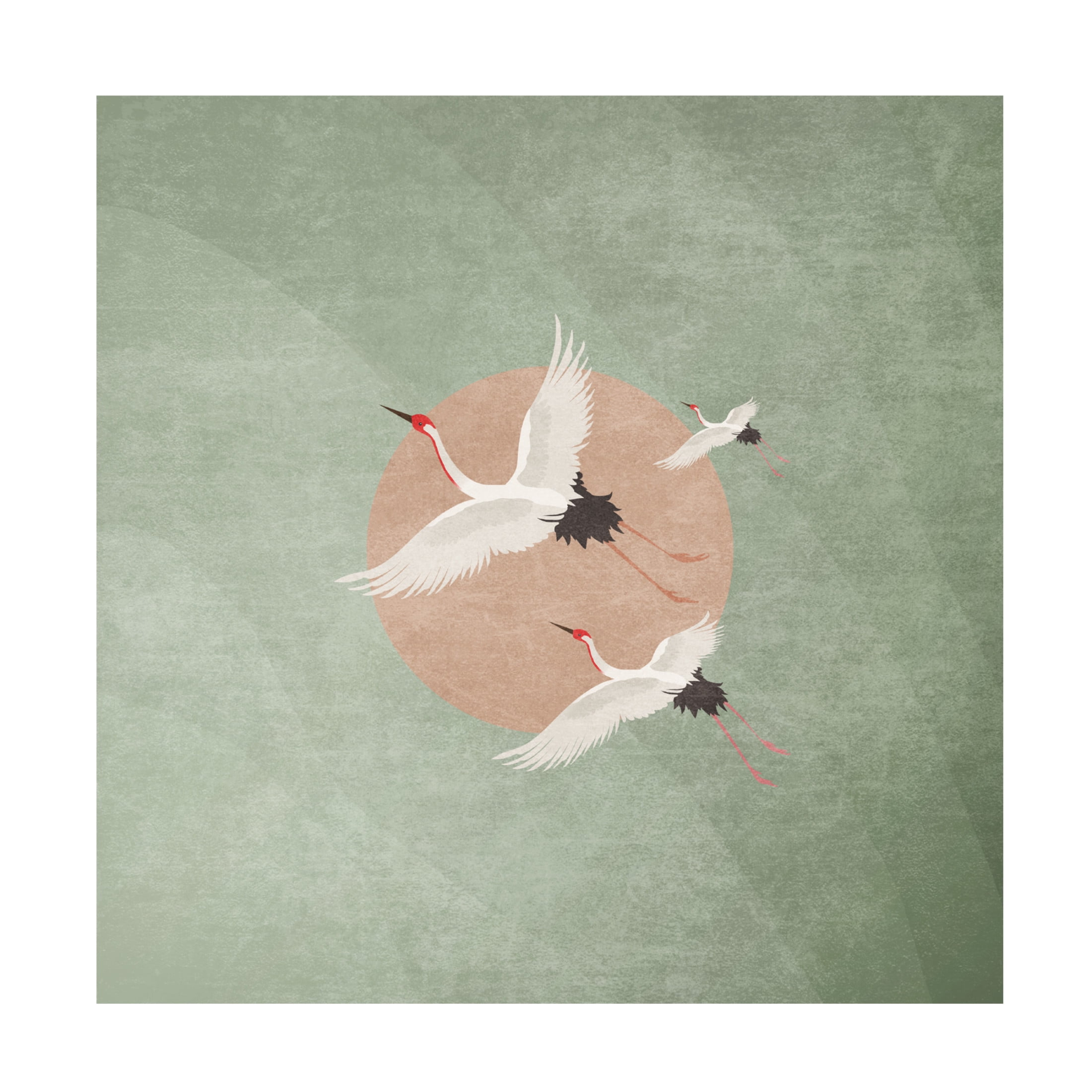 Trademark Fine Art Emel Tunaboylu  Turnalar Yosun Yesili Canvas Wall Art
