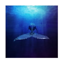 Trademark Fine Art Emel Tunaboylu Whale Canvas Wall Art