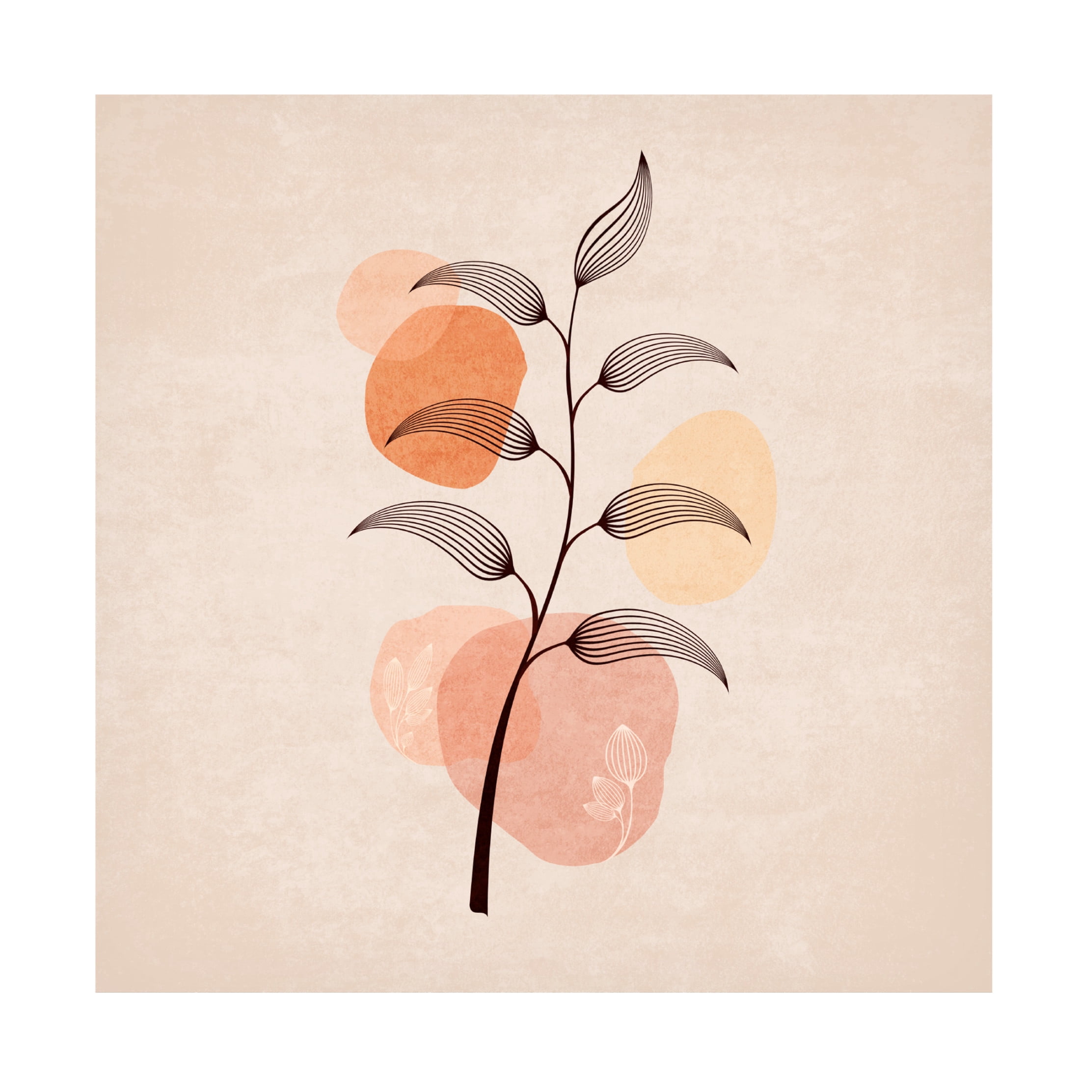 Trademark Fine Art Emel Tunaboylu Zarif Cicekler 02 Canvas Wall Art
