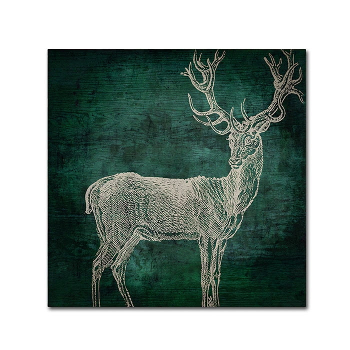 Trademark Fine Art "Emerald Deer" Canvas Art by Color Bakery