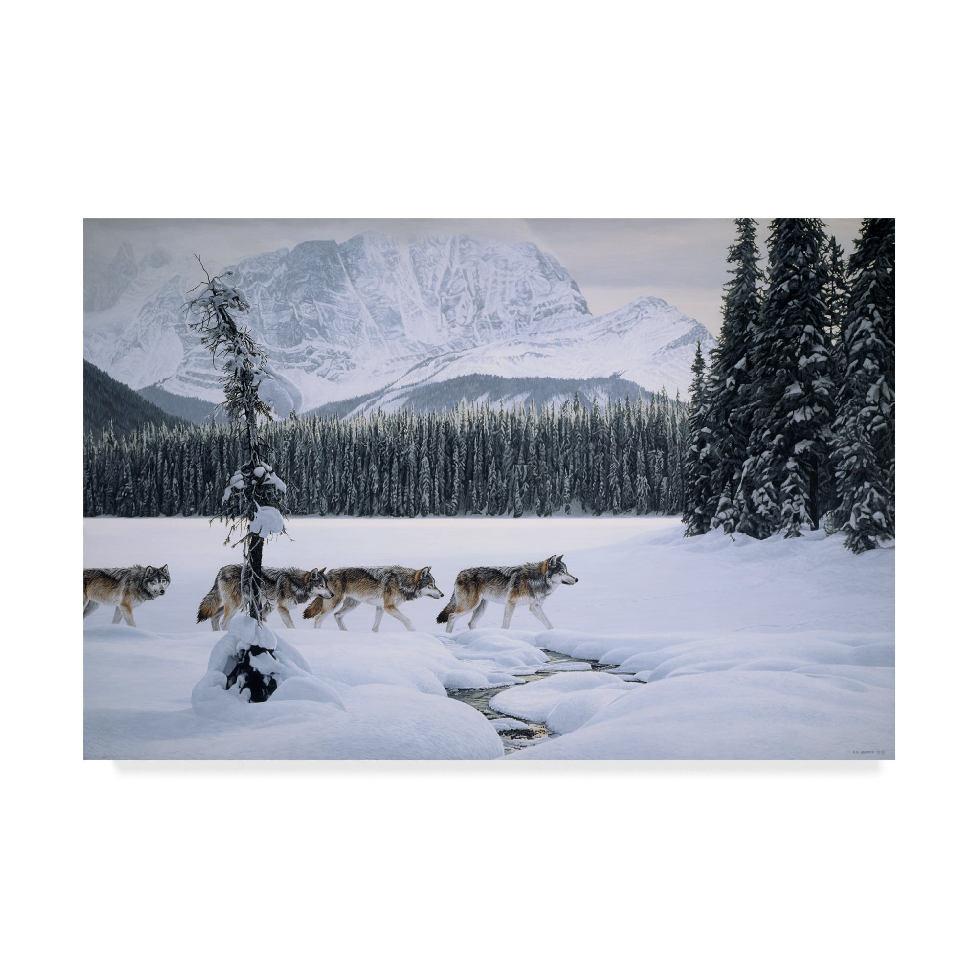 Trademark Fine Art 'Emerald Lake' Canvas Art by Ron Parker