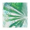 thumbnail image 1 of Trademark Fine Art 'Emerald Palms I' Canvas Art by Pam Ilosky, 1 of 4