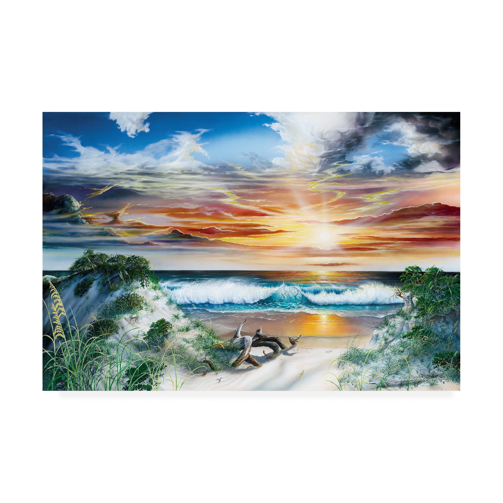 Trademark Fine Art 'Emerald Paradise' Canvas Art by Dann Spider Warren